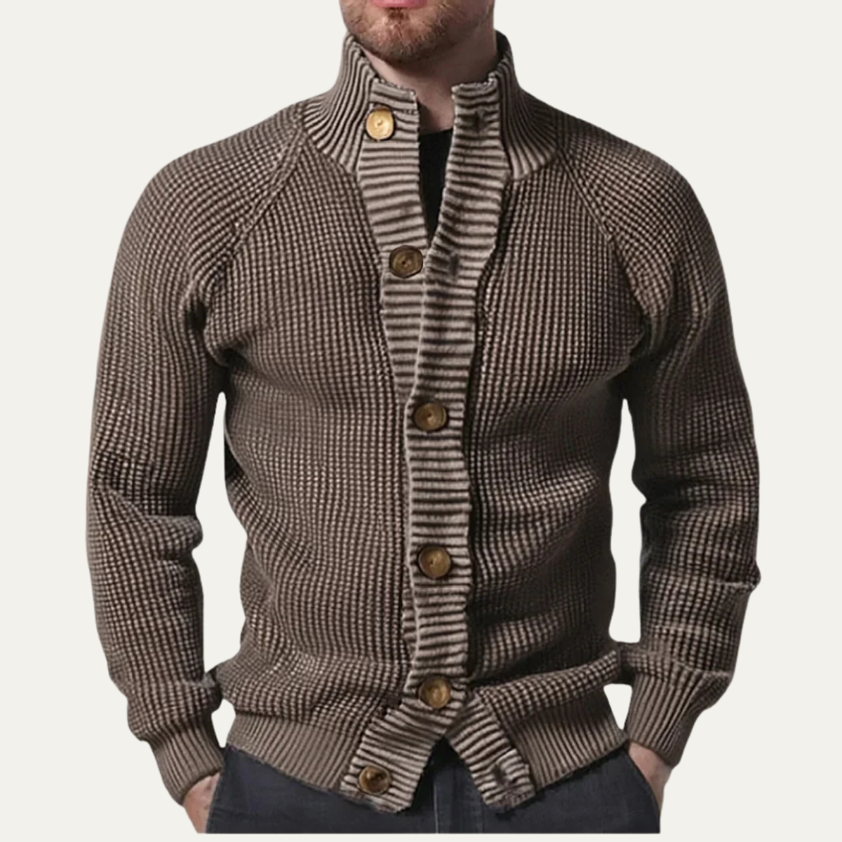 Thick Mens Knitted Winter Sweater with High Neck