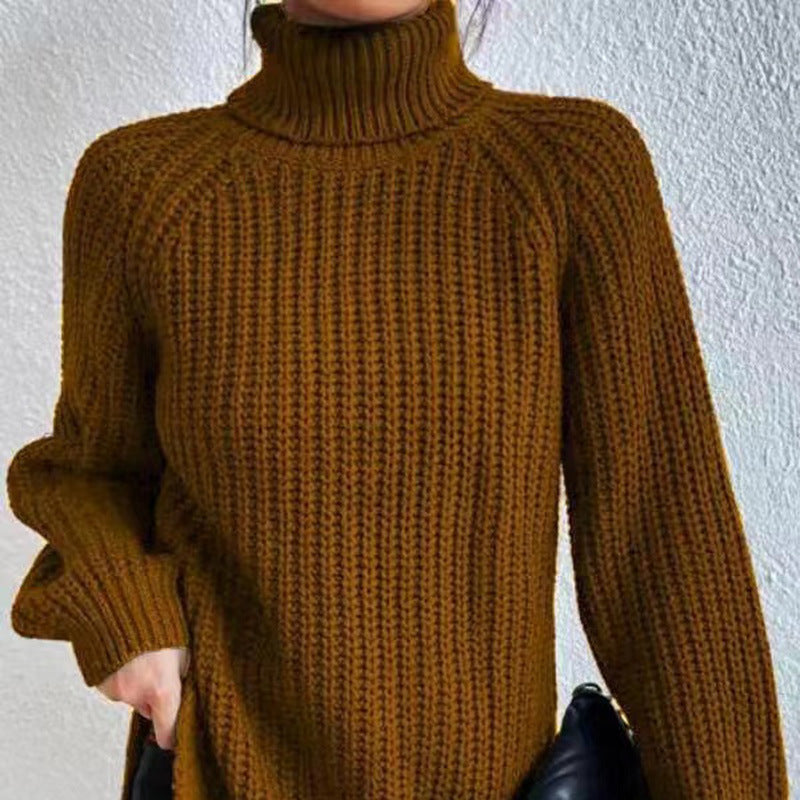 Cozy Women's Crew Neck Thick Knit Long Sleeve Sweater