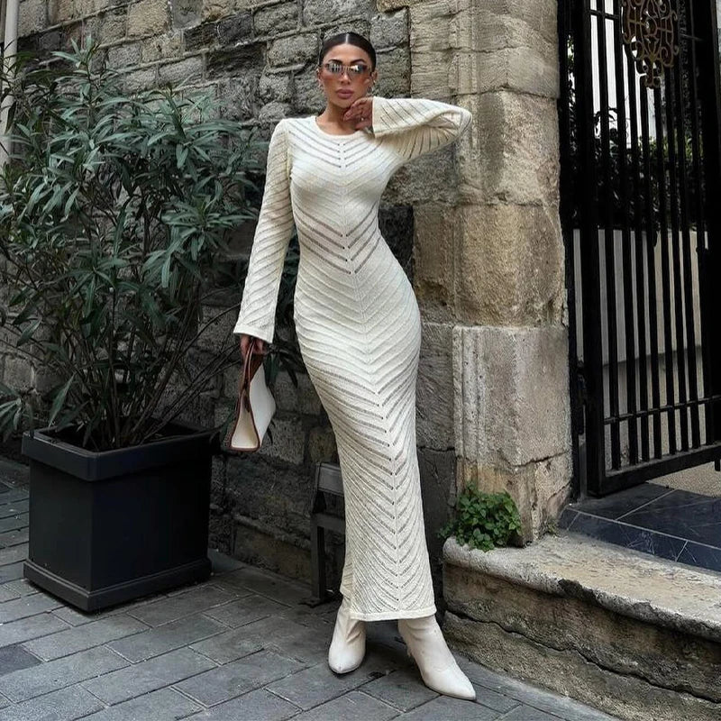Fitted Women's Mesh Long Sleeve Dress