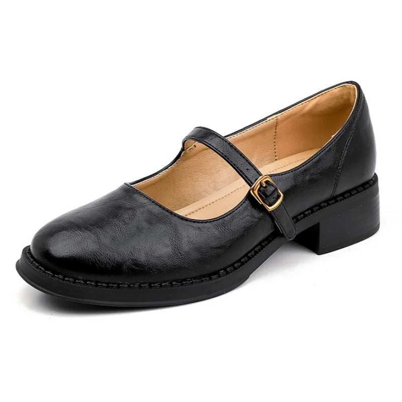 Comfortable Mary Jane Shoes for Daily Use