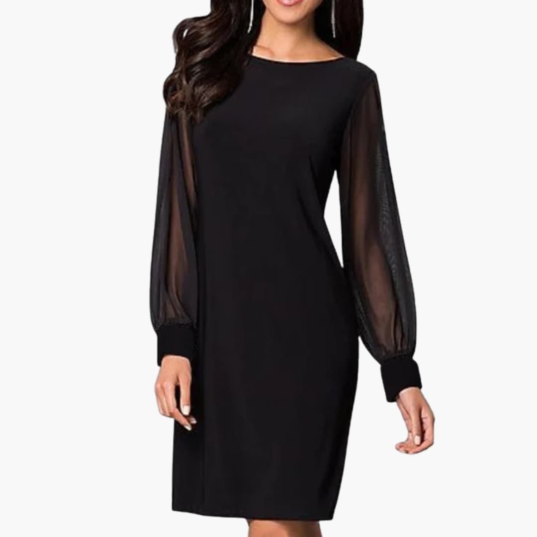 Chic Petite Dress with See Through Sleeves - Olytrend