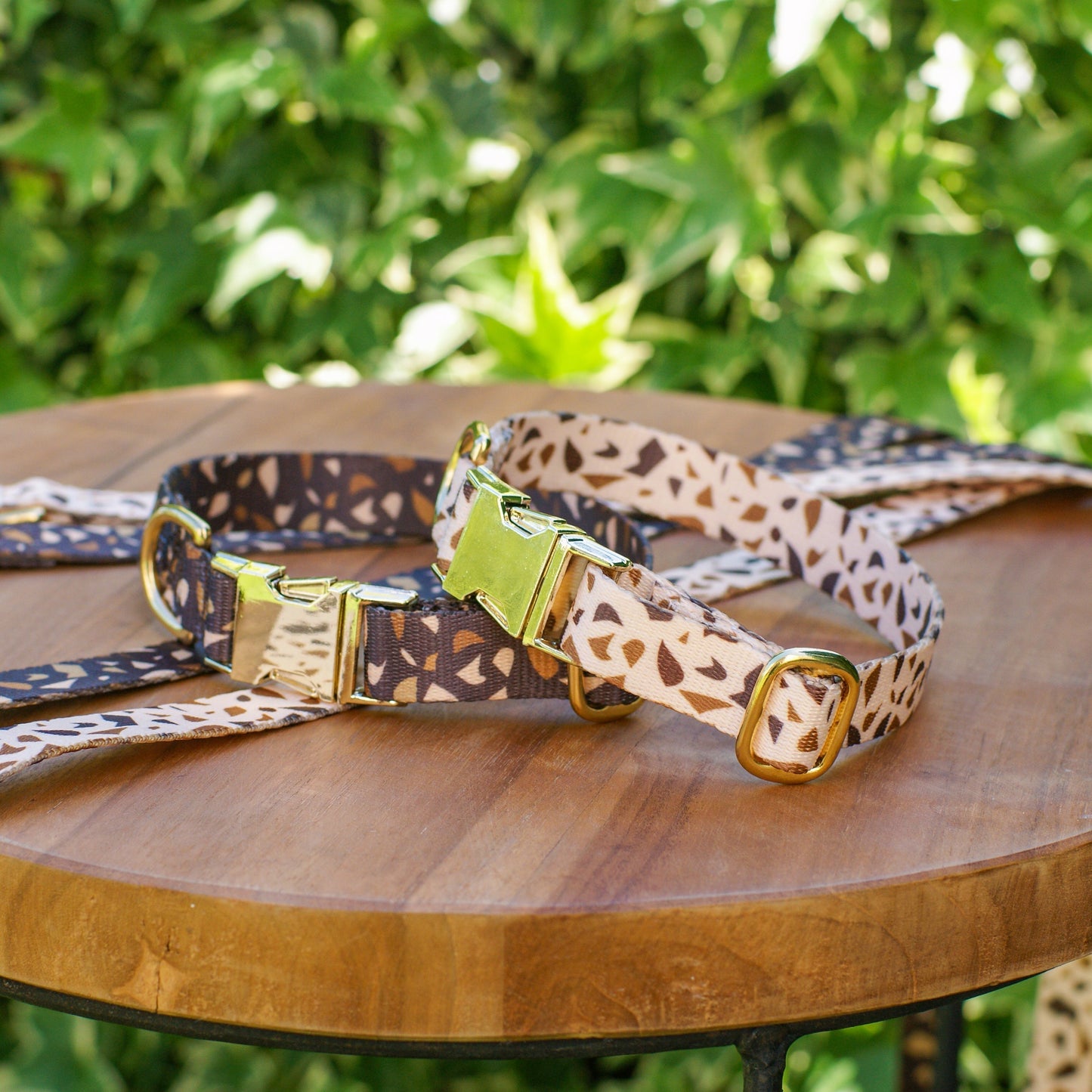 Dog Collar with Golden Accents – GoldenTerra-XS / 0.59 in-Nora Luxe