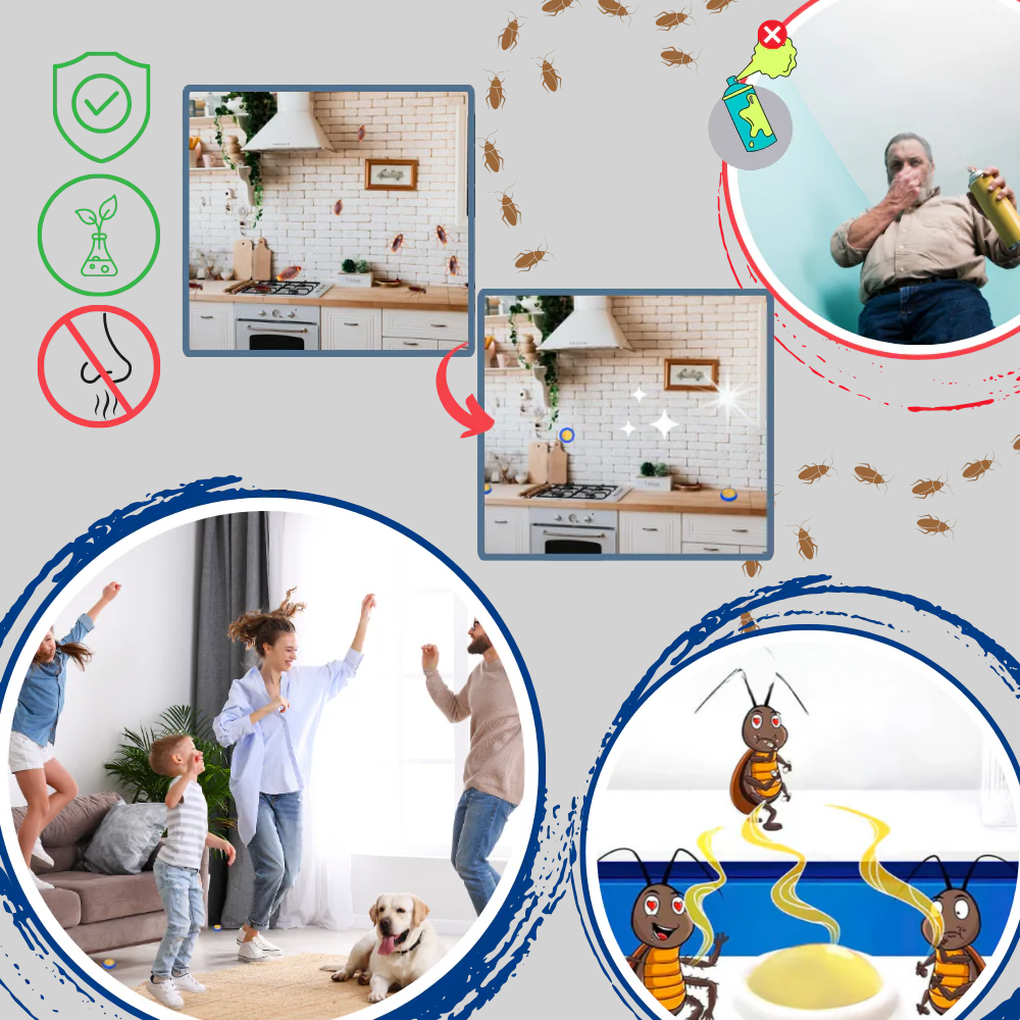 Effective Non Toxic Roach Traps