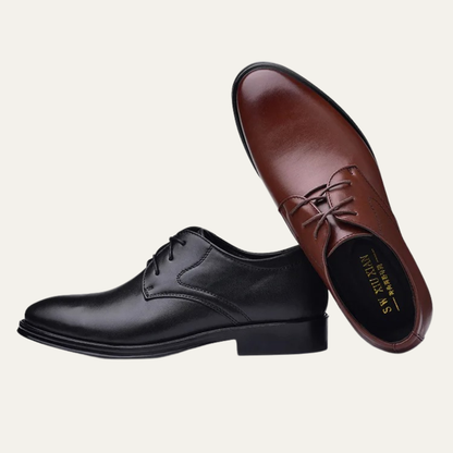 Stylish Men's Genuine Leather Dress Shoes
