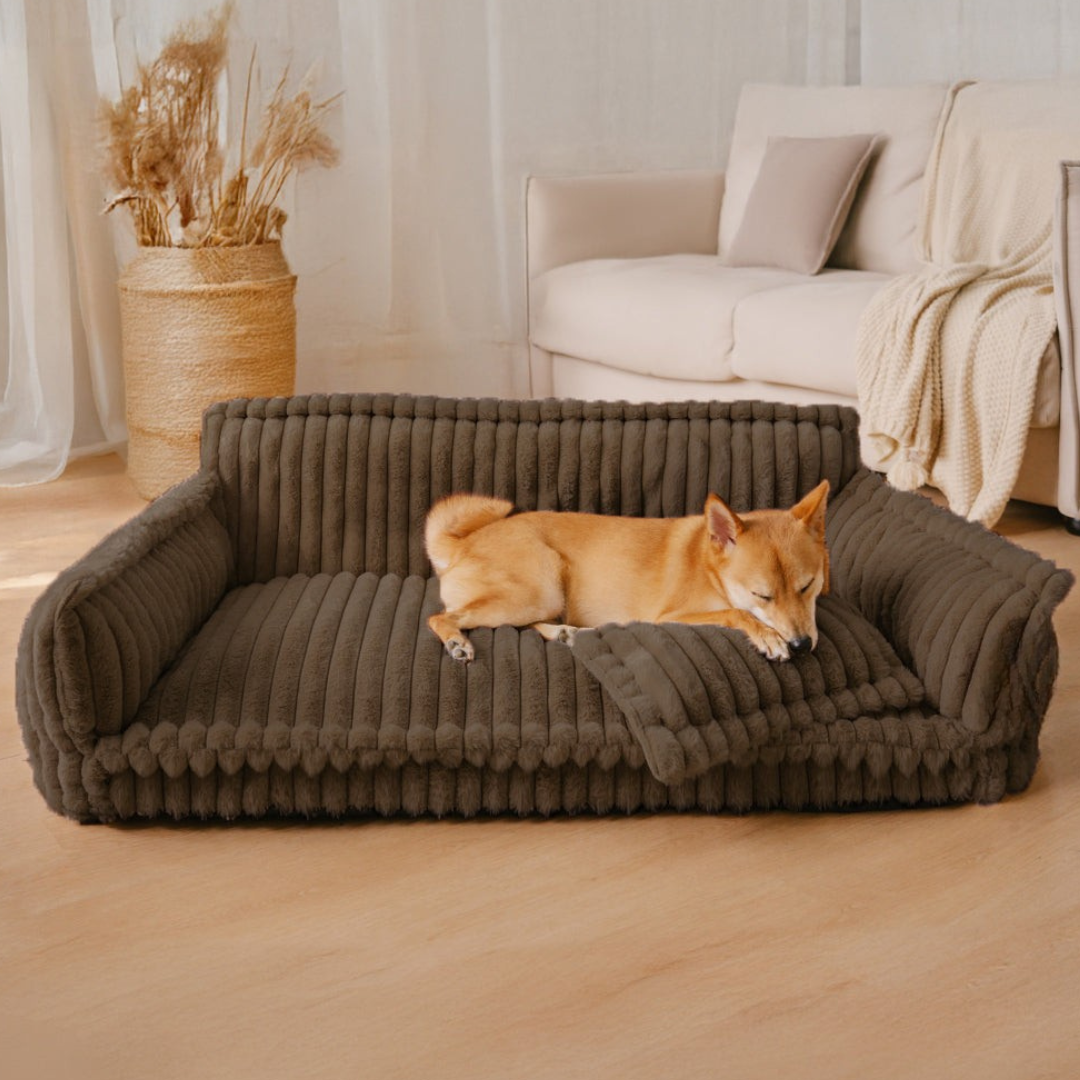 Comfortable Orthopedic Pet Dog Bed With Back Support