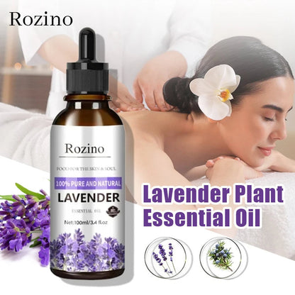 Calming Purple Lavender Oil - Olytrend