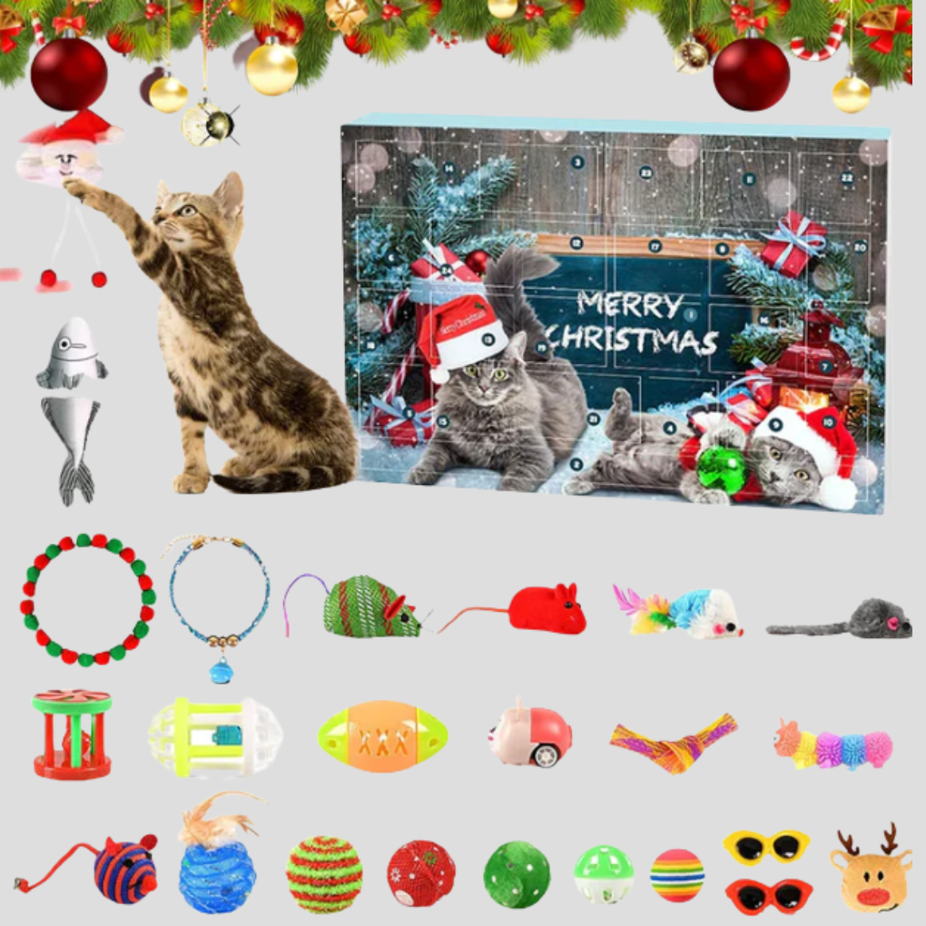 Fun Feline 24-Day Interactive Toy Calendar Kit - Olytrend
