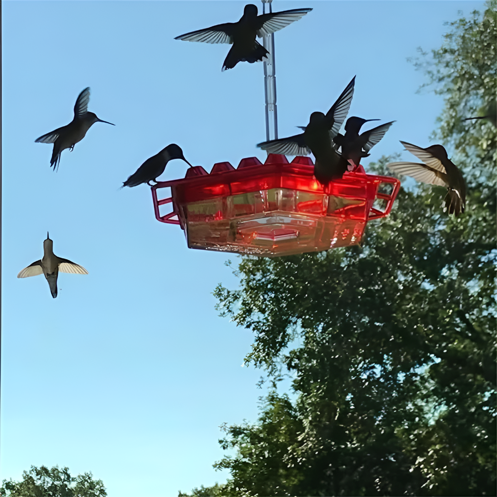 Squirrel Resistant Bird Feeder