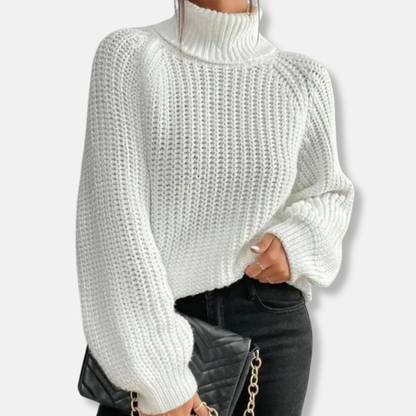 Cozy Wool Crew Neck Pullover Sweater - Nocini