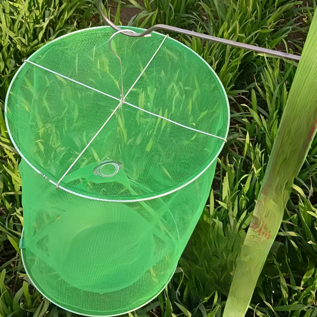 Effective Insect Catcher Trap