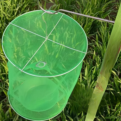 Effective Insect Catcher Trap