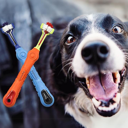 Dual Head Dog Toothbrush Set for Clean Teeth - Pexav