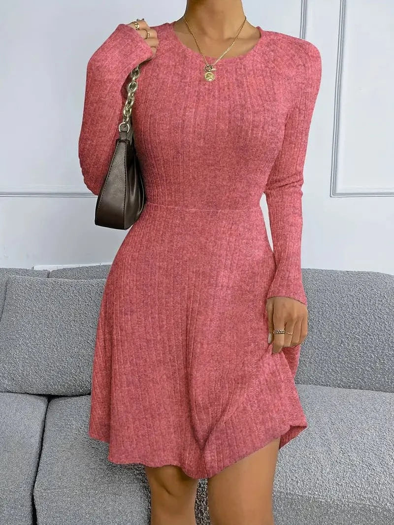 Classic Fit Women's Long Sleeve Knit Dress - Nocini
