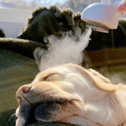 Gentle Pet Steam Grooming Brush