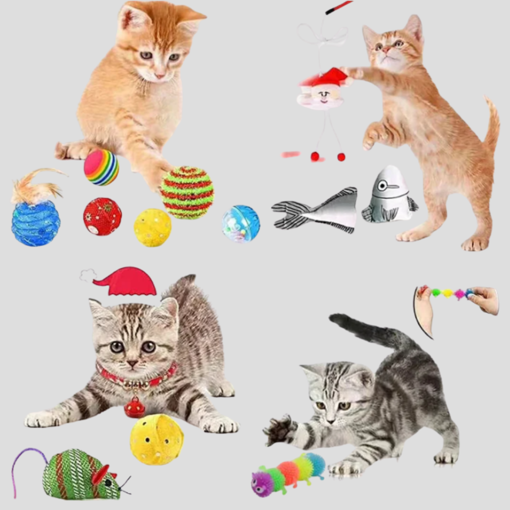 Fun Feline 24-Day Interactive Toy Calendar Kit