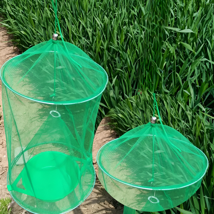 Effective Insect Catcher Trap