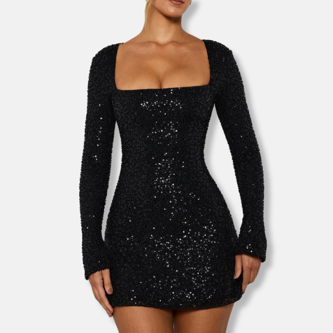 Glittery Embellished Fit Bodycon Mini Dress