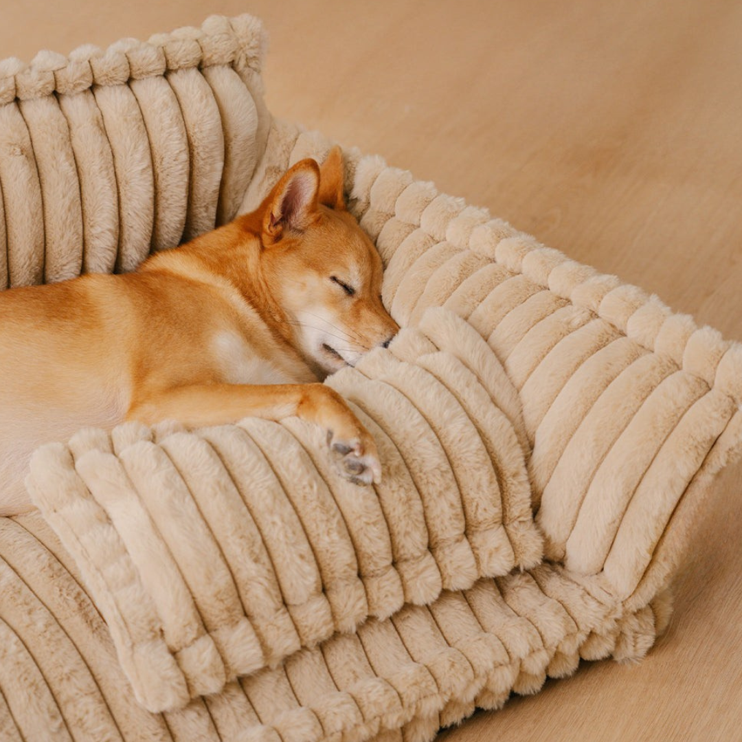 Comfortable Orthopedic Pet Dog Bed With Back Support