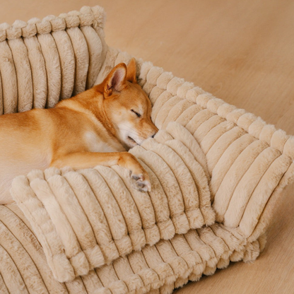 Comfortable Orthopedic Pet Dog Bed With Back Support