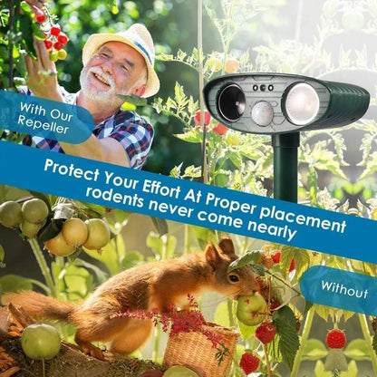Outdoor Solar Chipmunk Deterrent Device
