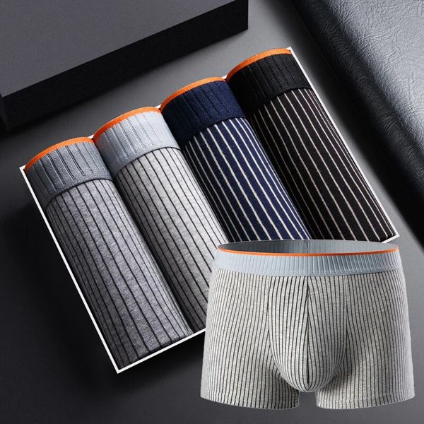 Slim Fit Striped Boxer Briefs - Nocini