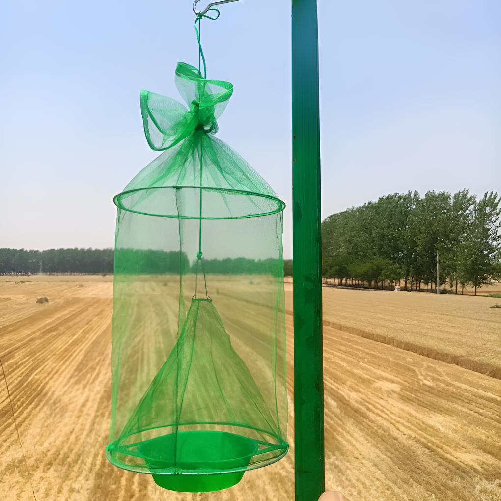 Effective Insect Catcher Trap