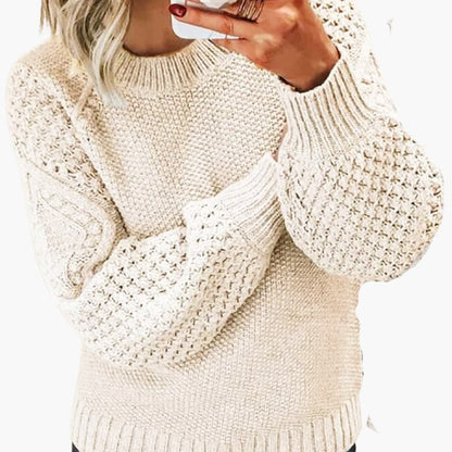 Fitted Ladies Crew Neck Pullover Sweater - Olytrend