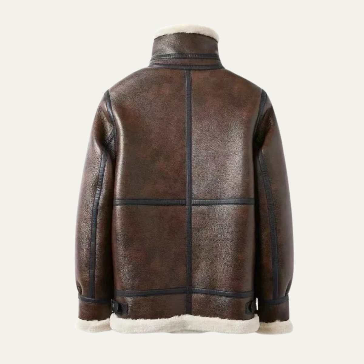 Warm Men's Fleece Lined Leather Aviator Jacket