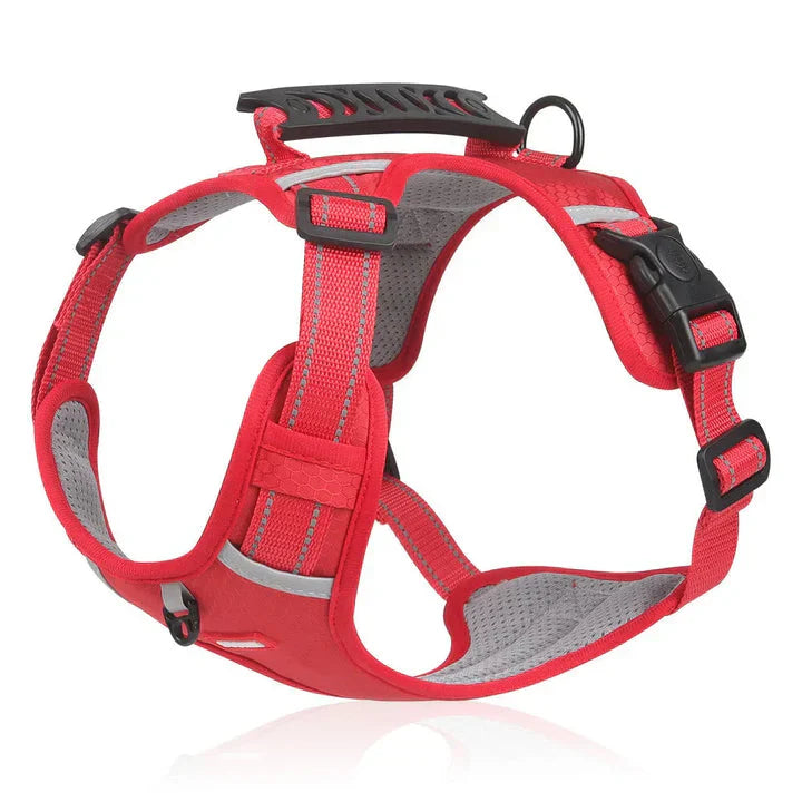 Easy Walk Dog Vest with Soft Padded Design