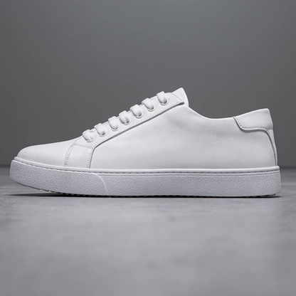 Comfortable Men's Vintage Low Top Sneakers