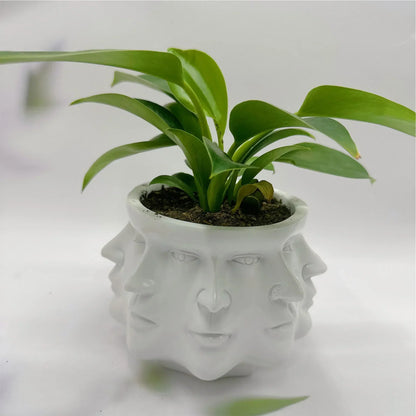 3D Face Pot - FaceBloom-White-Nora Luxe