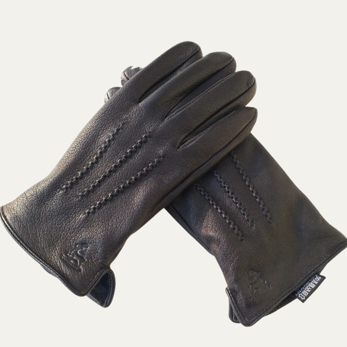 Thermal Insulated Mens Leather Snow Gloves - Nocini