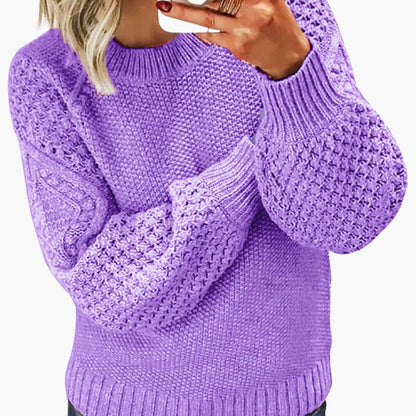 Fitted Ladies Crew Neck Pullover Sweater