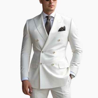 Classic Fit Mens 2 Piece Business Suit