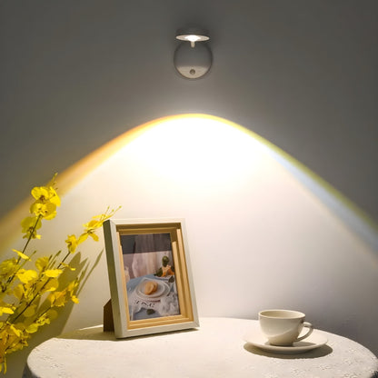 Motion Activated LED Outdoor Spotlight