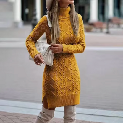 Cozy Roll Neck Cable Knit Dress