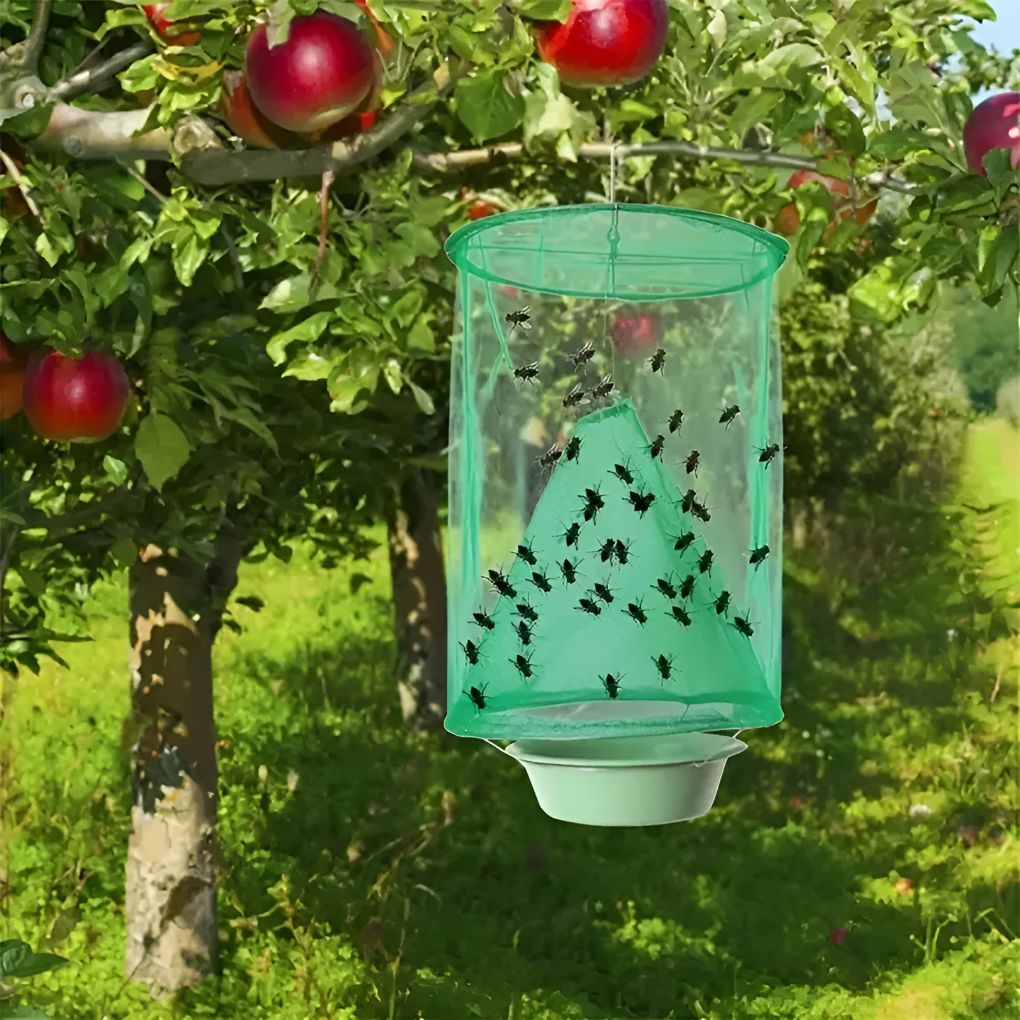 Effective Insect Catcher Trap - Olytrend
