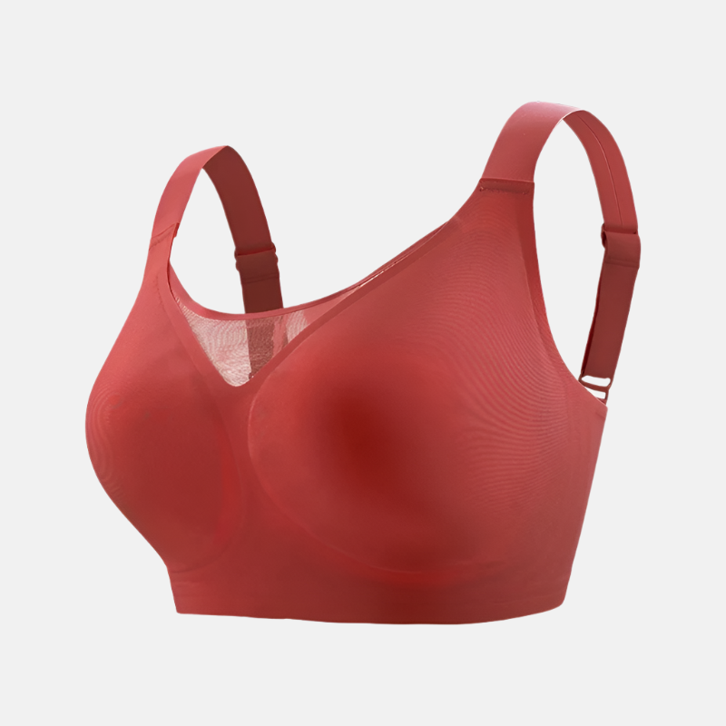 Comfortable No Wire Padded Sports Bra