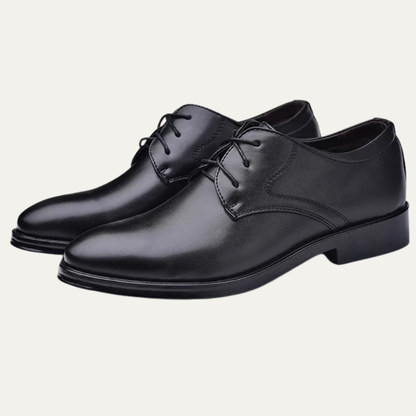 Stylish Men's Genuine Leather Dress Shoes