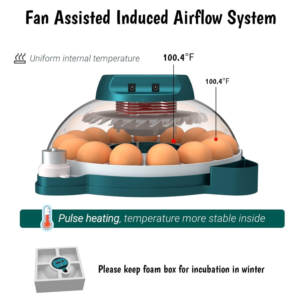 Digital Egg Incubator with Auto Humidity System
