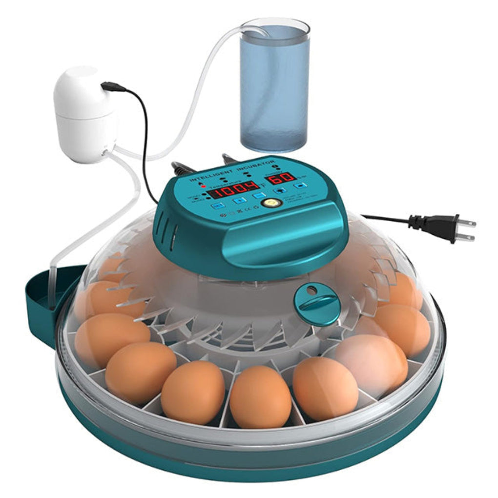Digital Egg Incubator with Auto Humidity System - Olytrend