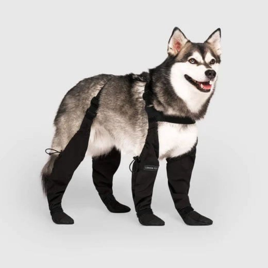 Tough Waterproof Pet Boots - Olytrend