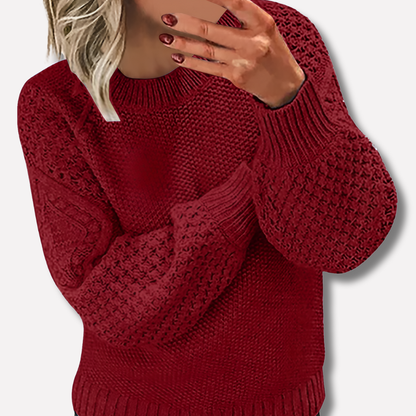 Cozy Soft Knit Sweater for Ladies
