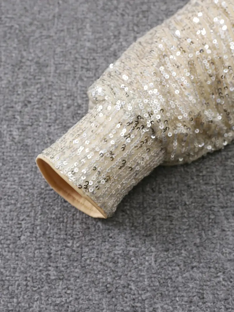 Glittery Night Out Party Dress