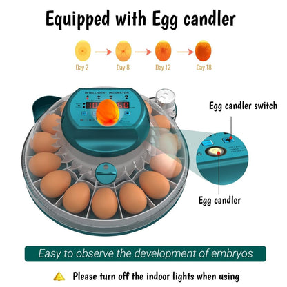 Digital Egg Incubator with Auto Humidity System