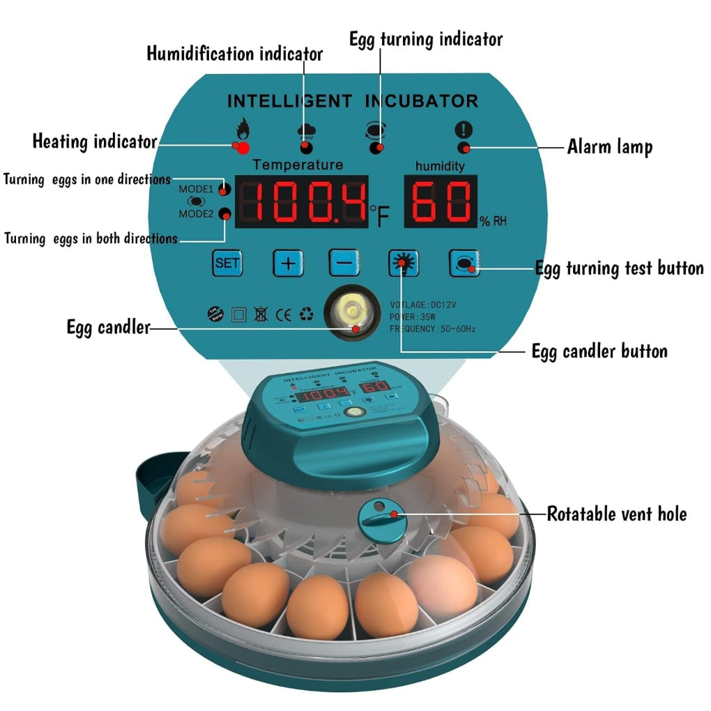 Digital Egg Incubator with Auto Humidity System