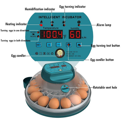 Digital Egg Incubator with Auto Humidity System