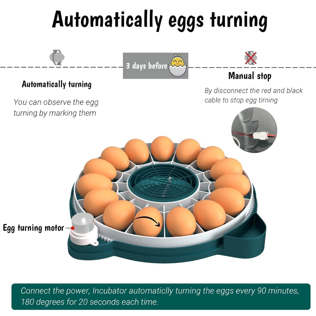 Digital Egg Incubator with Auto Humidity System