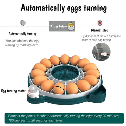 Digital Egg Incubator with Auto Humidity System