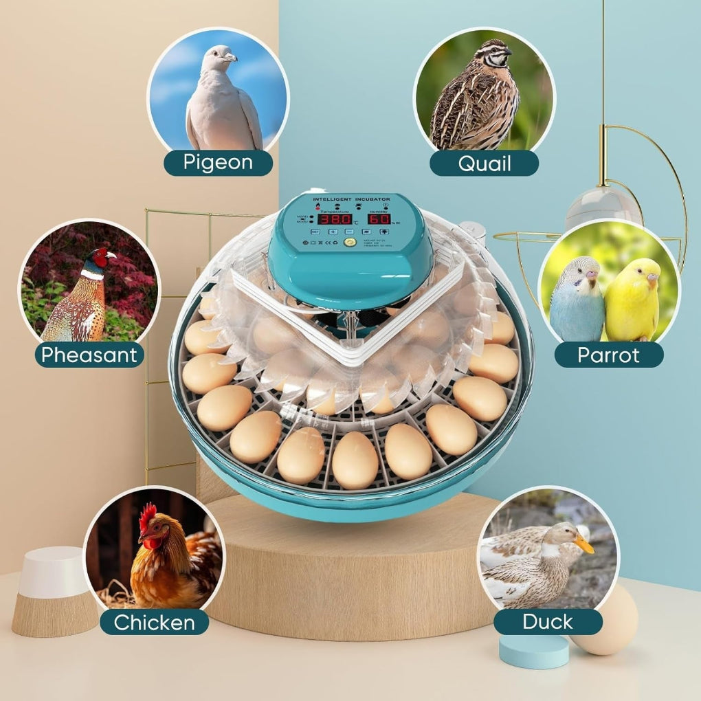Digital Egg Incubator with Auto Humidity System
